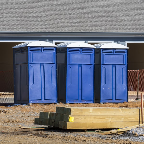 are there different sizes of porta potties available for rent in Woodhull